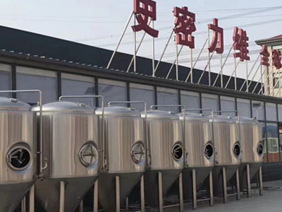 清丰精酿啤酒设备厂—如何判断精酿啤酒设备的密封件需要更换？